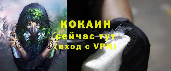 мяу мяу мука Елизово