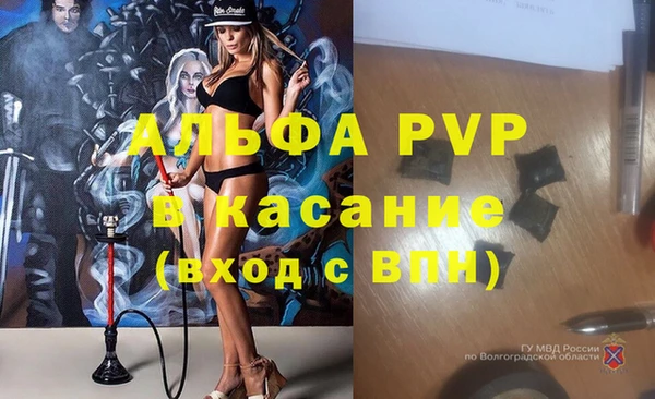 мяу мяу мука Елизово