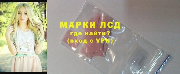 мяу мяу мука Елизово