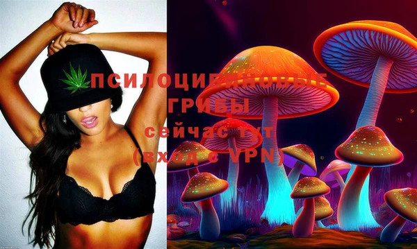 мяу мяу мука Елизово