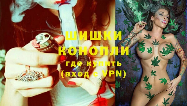 ALPHA PVP Ельня