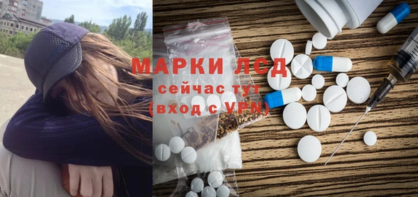 ALPHA PVP Ельня