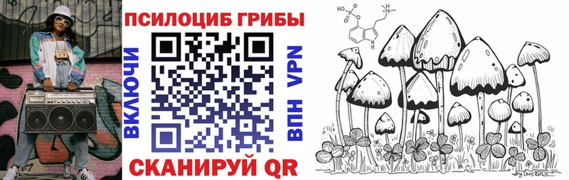 Псилоцибиновые грибы Cubensis  Свирск 